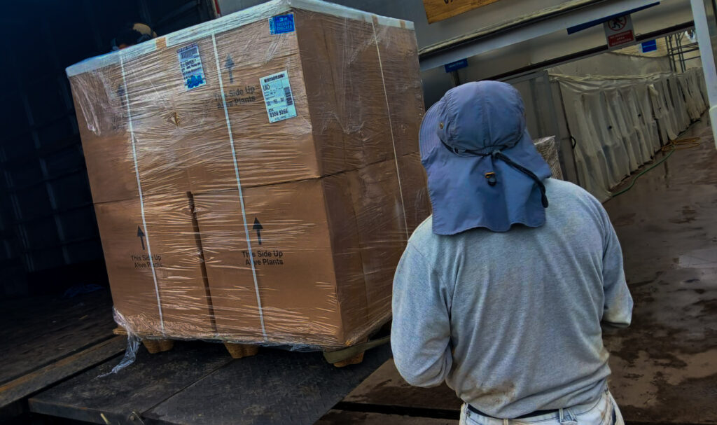 c0203bb9-63d4-4d2c-ab10-3b281539b46b